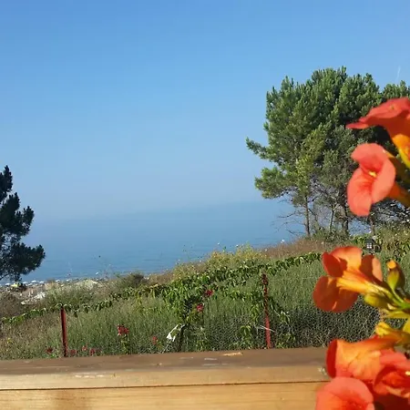 Cleopatra Villa *
